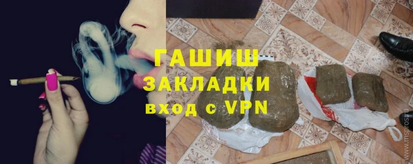 дмт Гусев