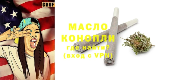 дмт Гусев