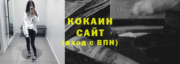 дмт Гусев