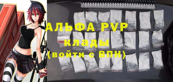 дмт Гусев