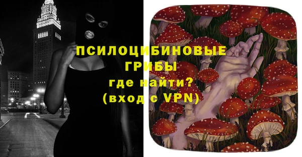 дмт Гусев