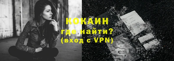 дмт Гусев