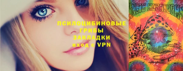 дмт Гусев