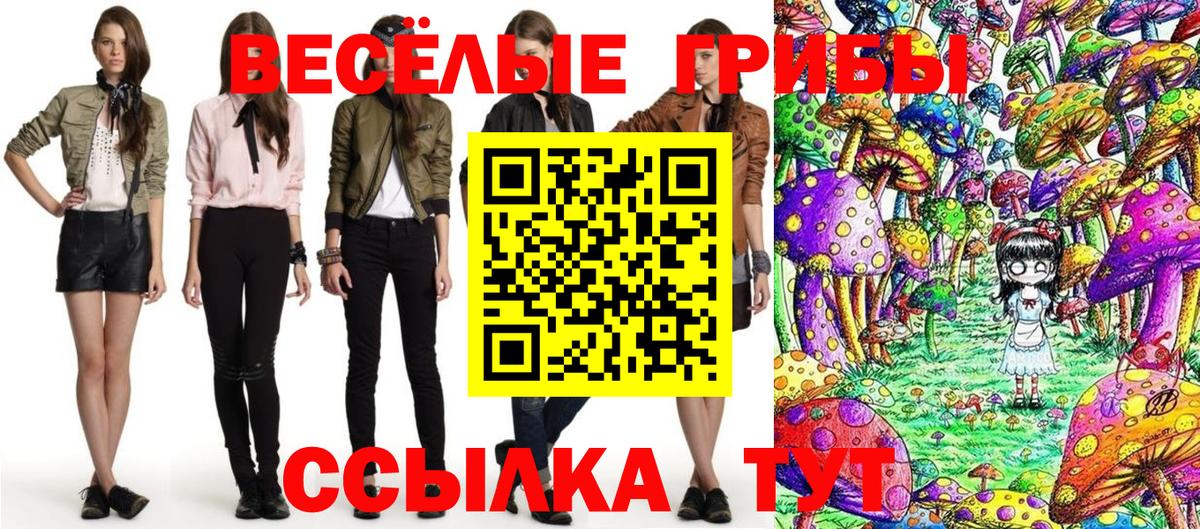 Похвистнево  Галлюциногенные грибы Cubensis  Вход с VPN 